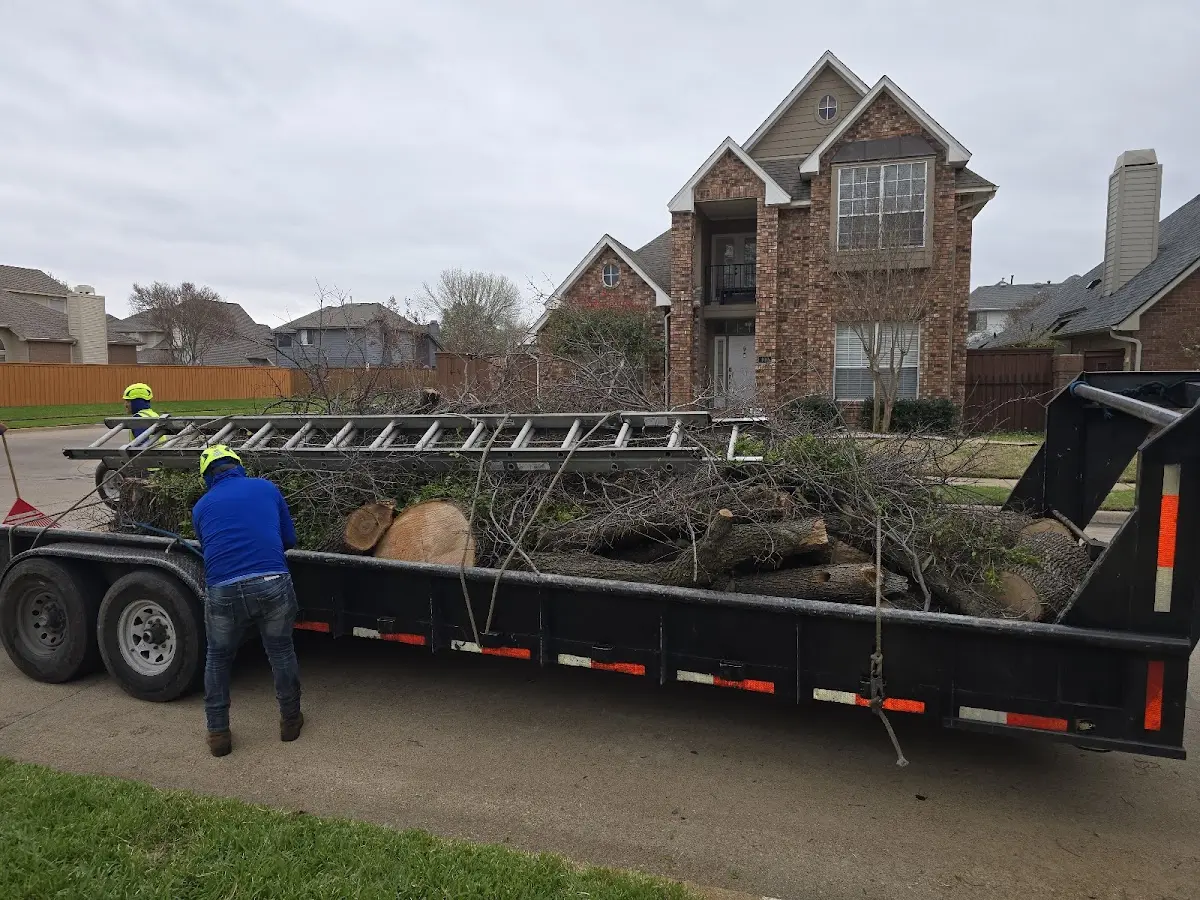 Expert Lot Clearing with proper safety equipment in Harvard